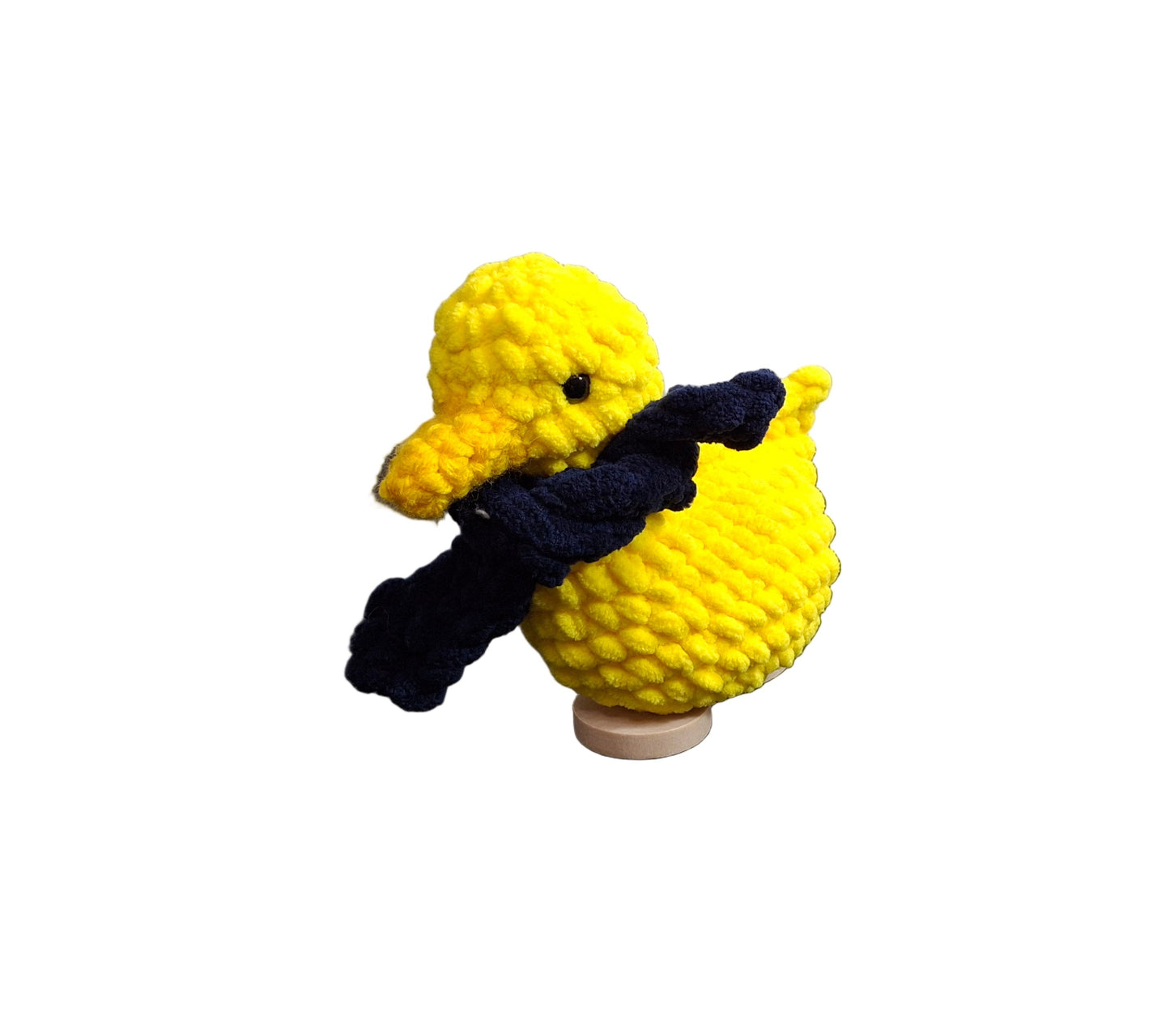 Wintery Duck