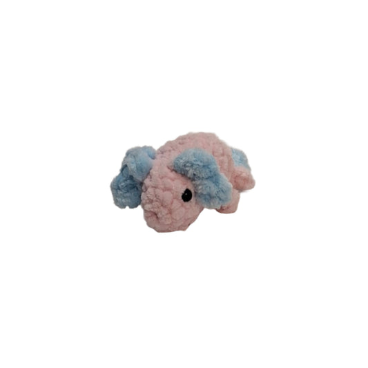 Axolotl