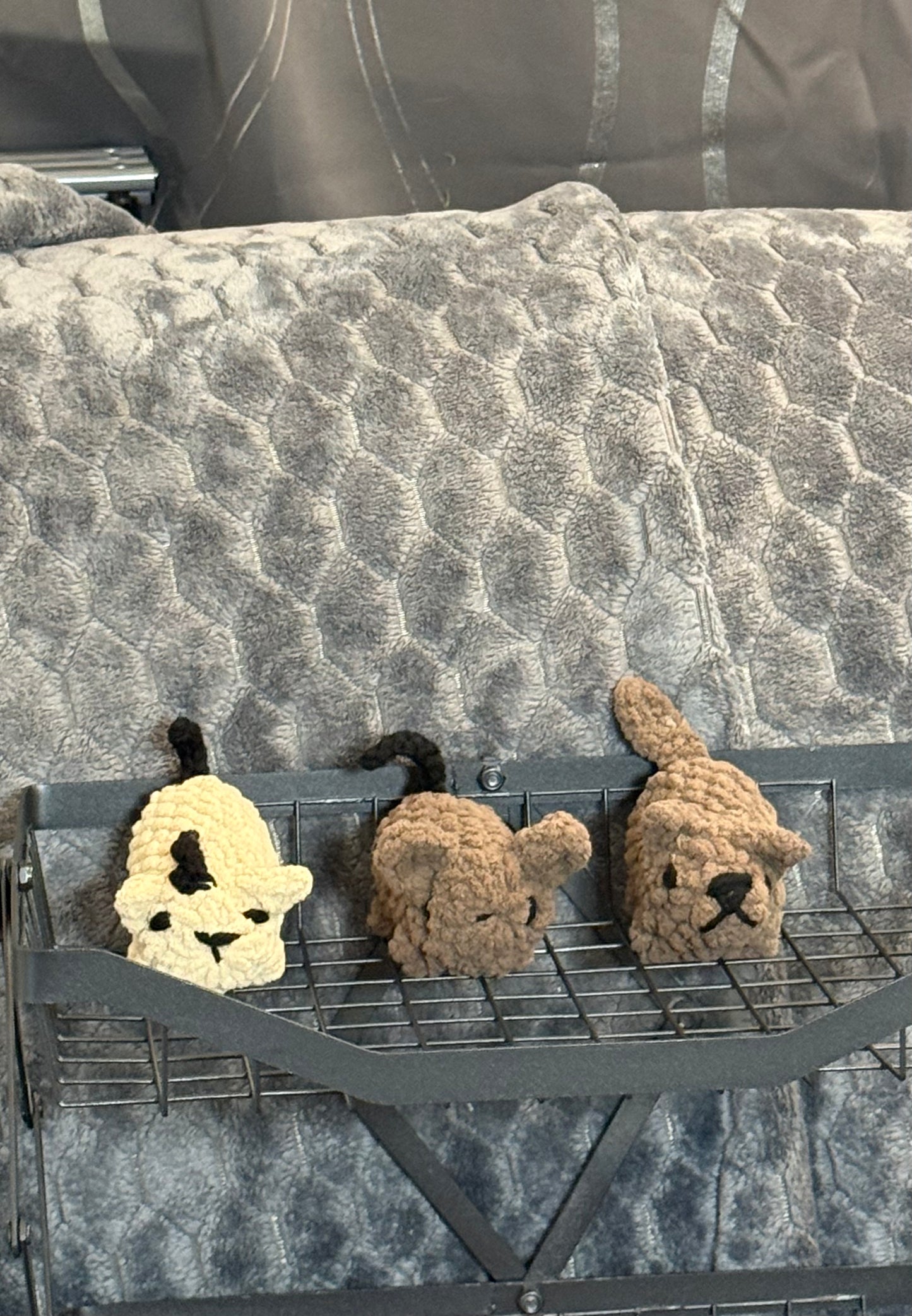 Pocket Cats And Dogs