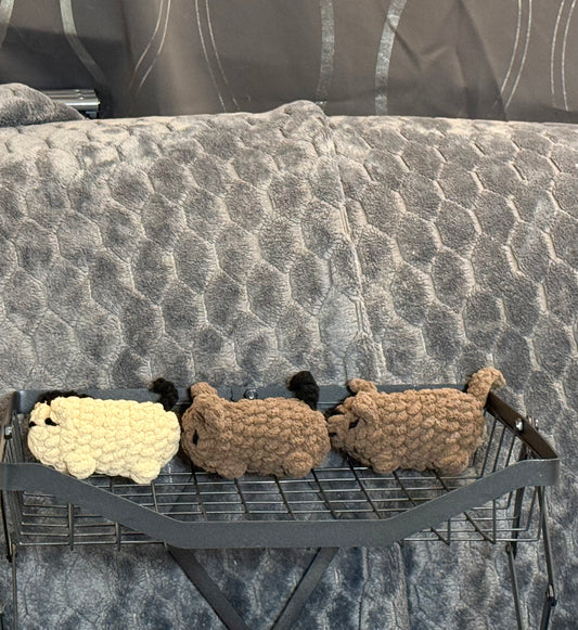 Pocket Cats And Dogs